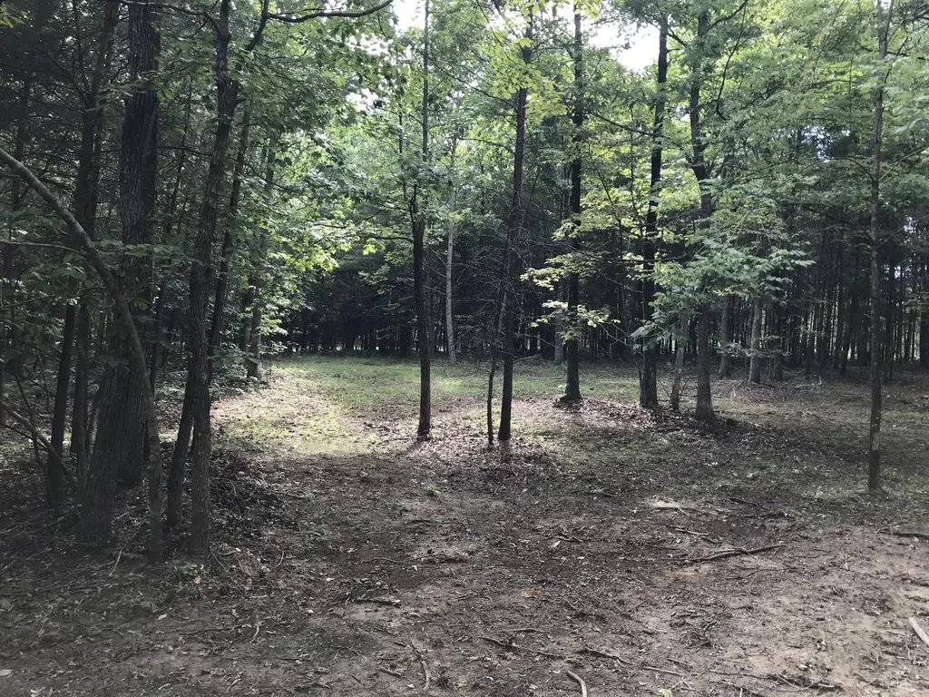 0 Quail Trail Dunlap TN 37327