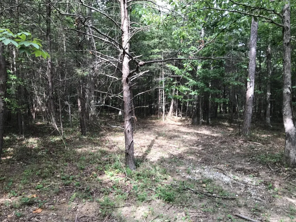 0 Quail Trail Dunlap TN 37327