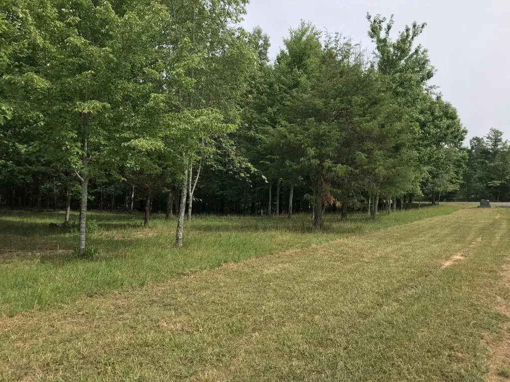 0 Quail Trail Dunlap TN 37327