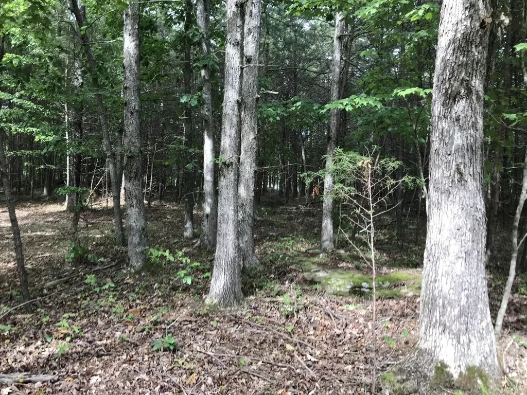 0 Quail Trail Dunlap TN 37327