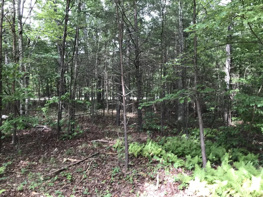 0 Quail Trail Dunlap TN 37327