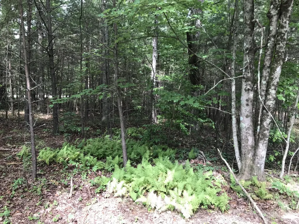 0 Quail Trail Dunlap TN 37327