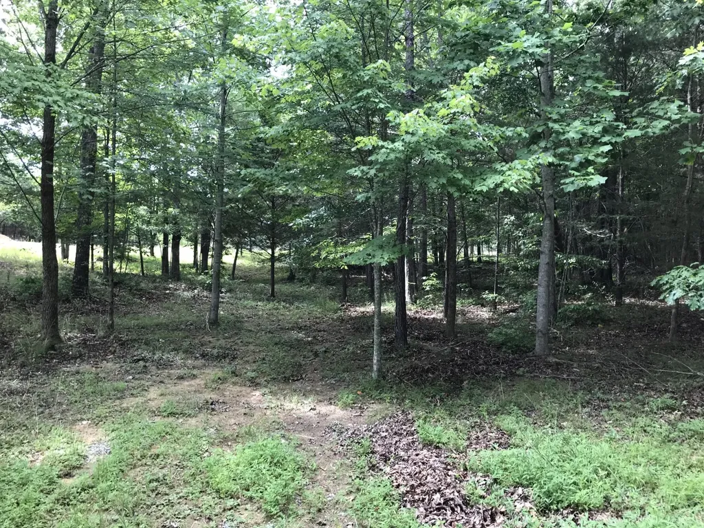 0 Quail Trail Dunlap TN 37327