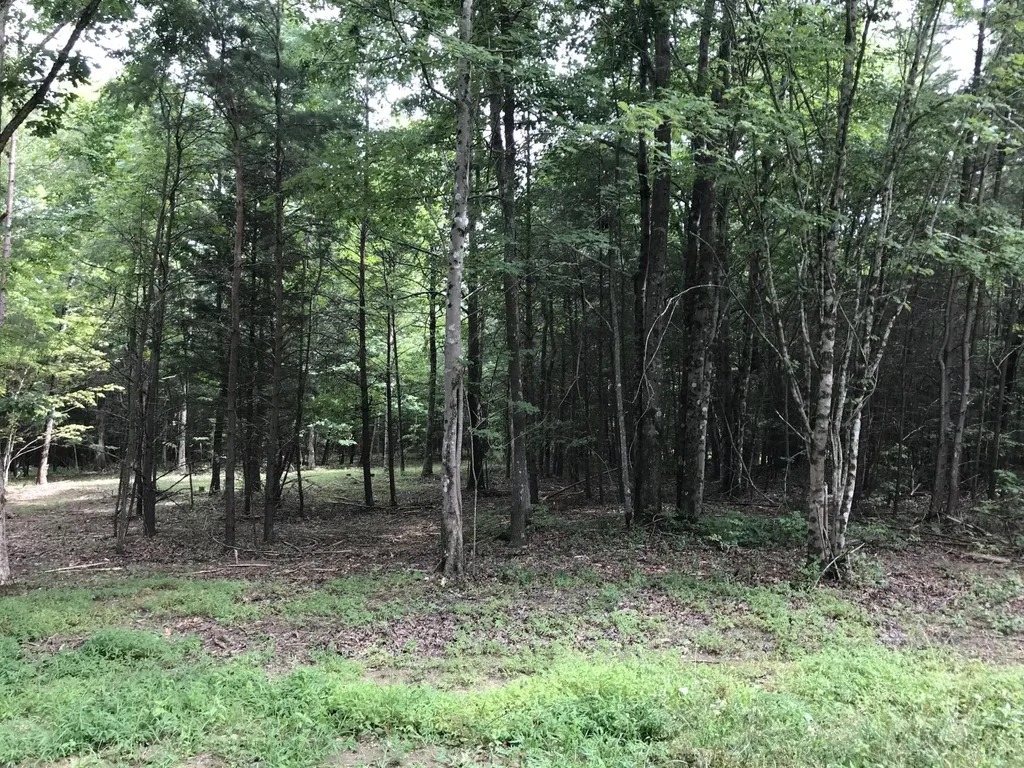 0 Quail Trail Dunlap TN 37327