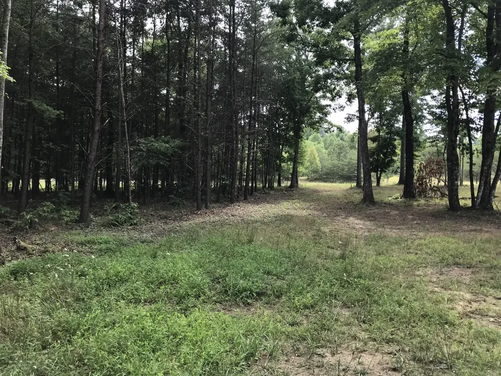 0 Quail Trail Dunlap TN 37327
