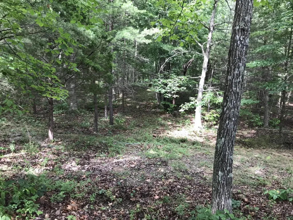 0 Quail Trail Dunlap TN 37327