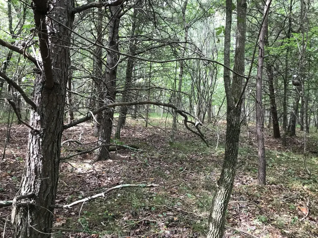 0 Quail Trail Dunlap TN 37327
