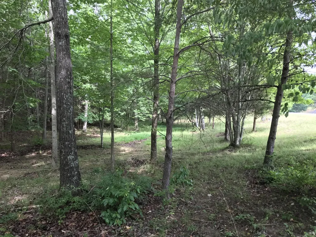 0 Quail Trail Dunlap TN 37327