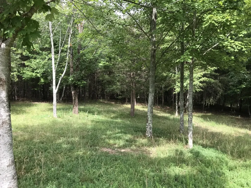 0 Quail Trail Dunlap TN 37327