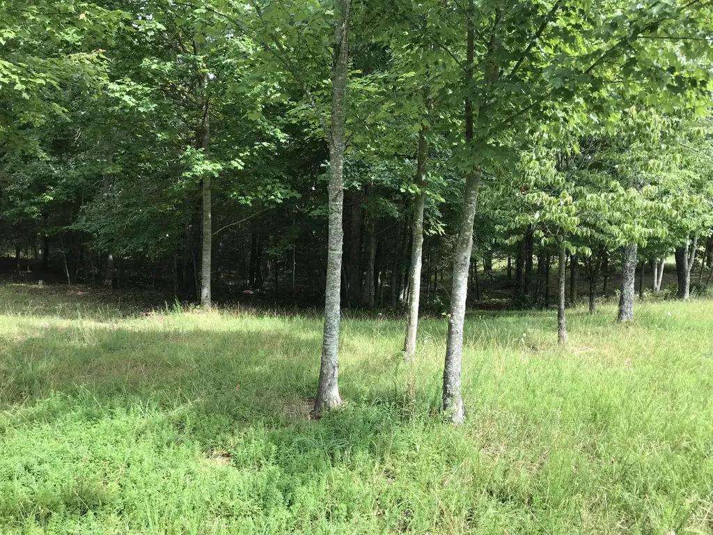 0 Quail Trail Dunlap TN 37327