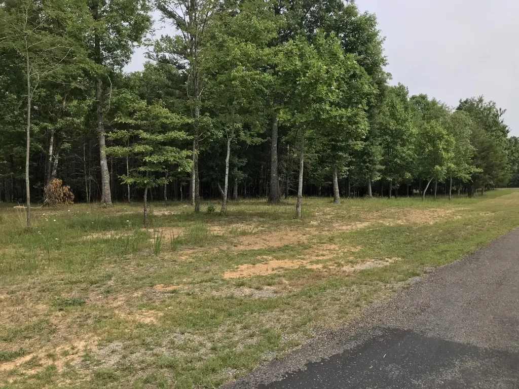 0 Quail Trail Dunlap TN 37327