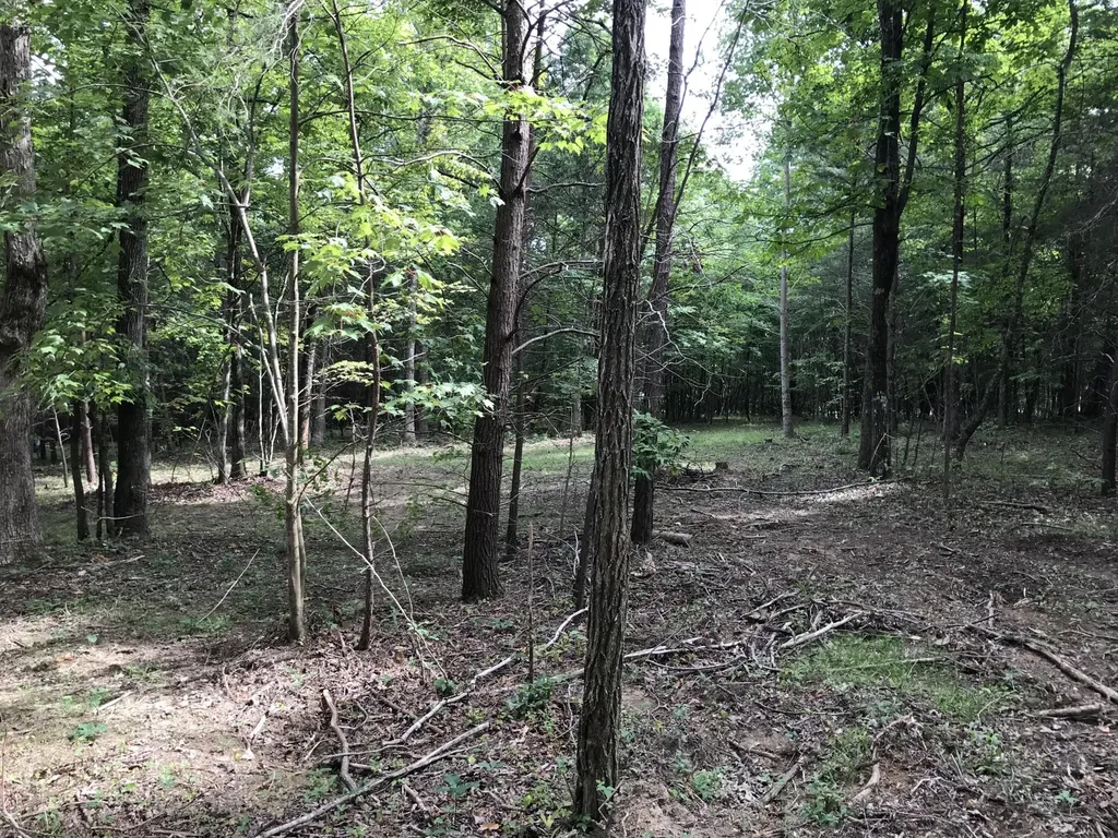0 Quail Trail Dunlap TN 37327