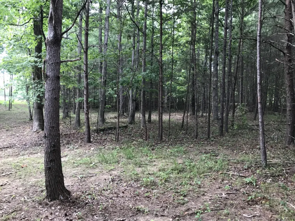 0 Quail Trail Dunlap TN 37327