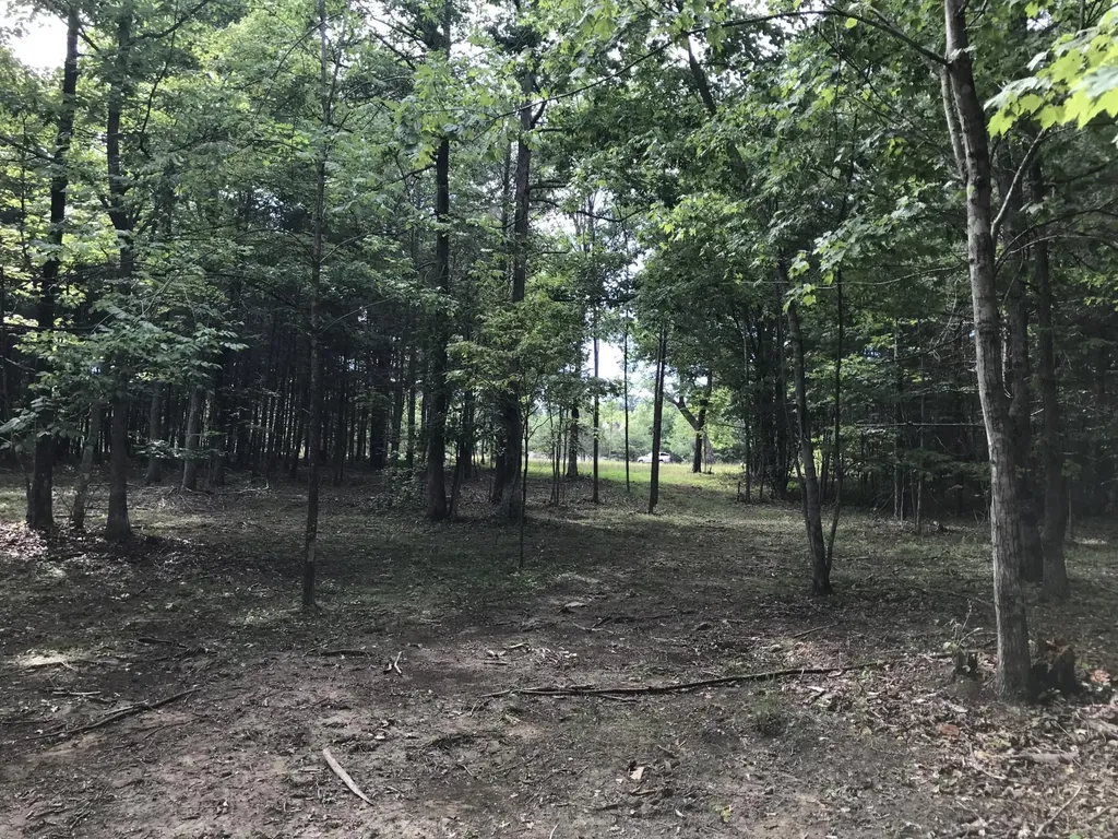 0 Quail Trail Dunlap TN 37327