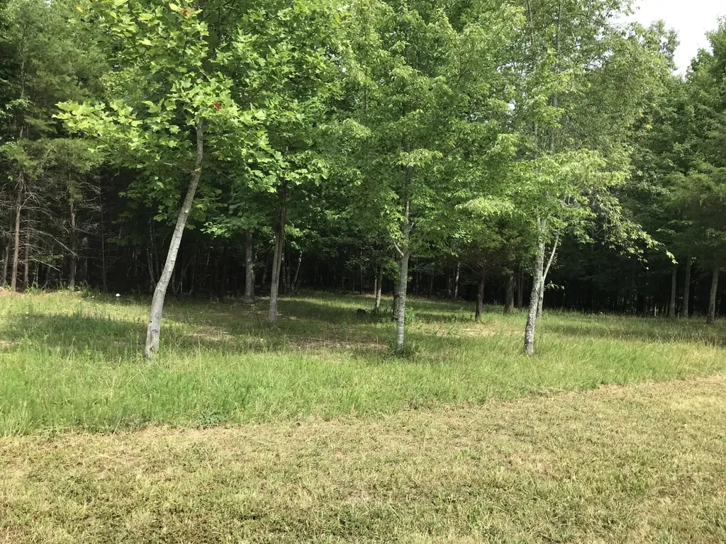 0 Quail Trail Dunlap TN 37327