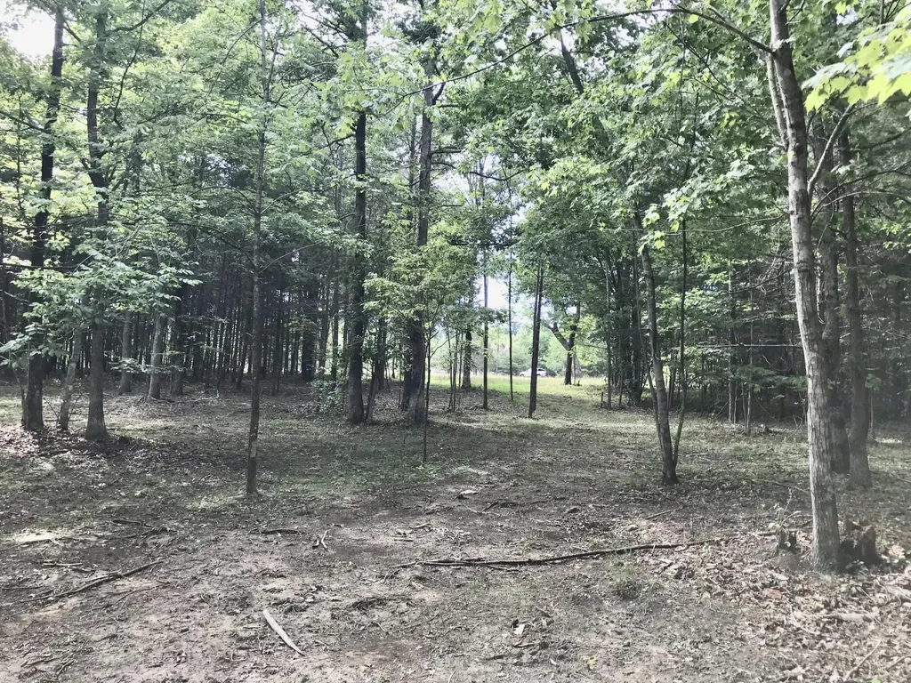 0 Quail Trail Dunlap TN 37327