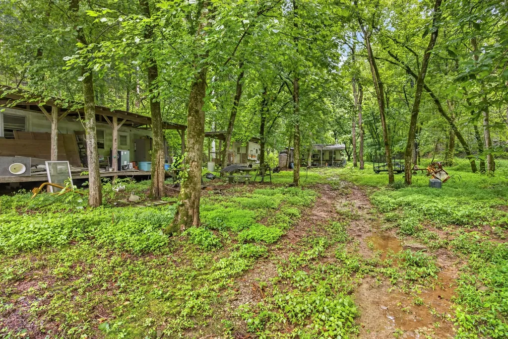 339 Wheeler Town Lane Bloomington Springs TN 38545