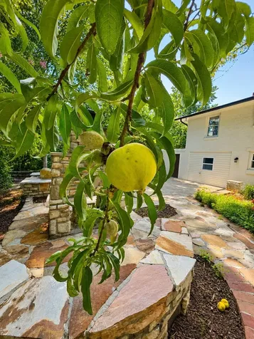 108 Hickory Hills Drive Hendersonville TN 37075