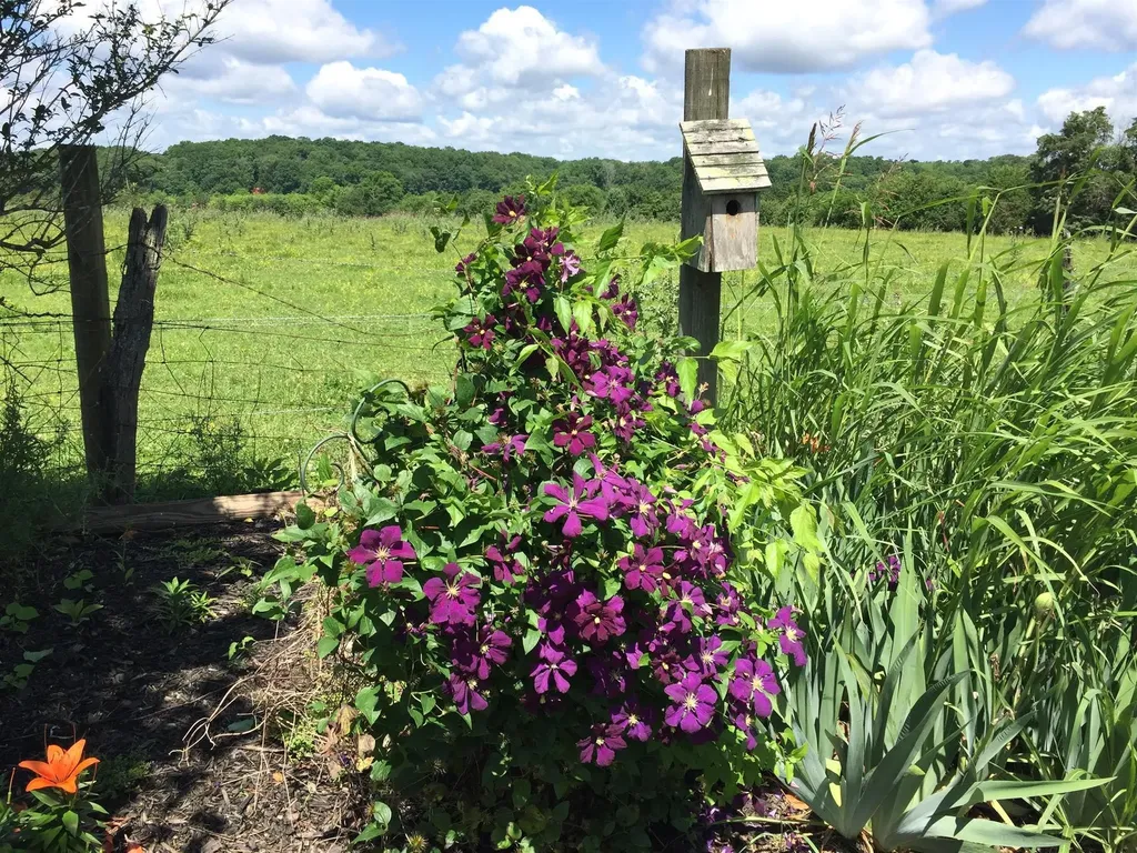 379 Bell Dr, W Winchester TN 37398