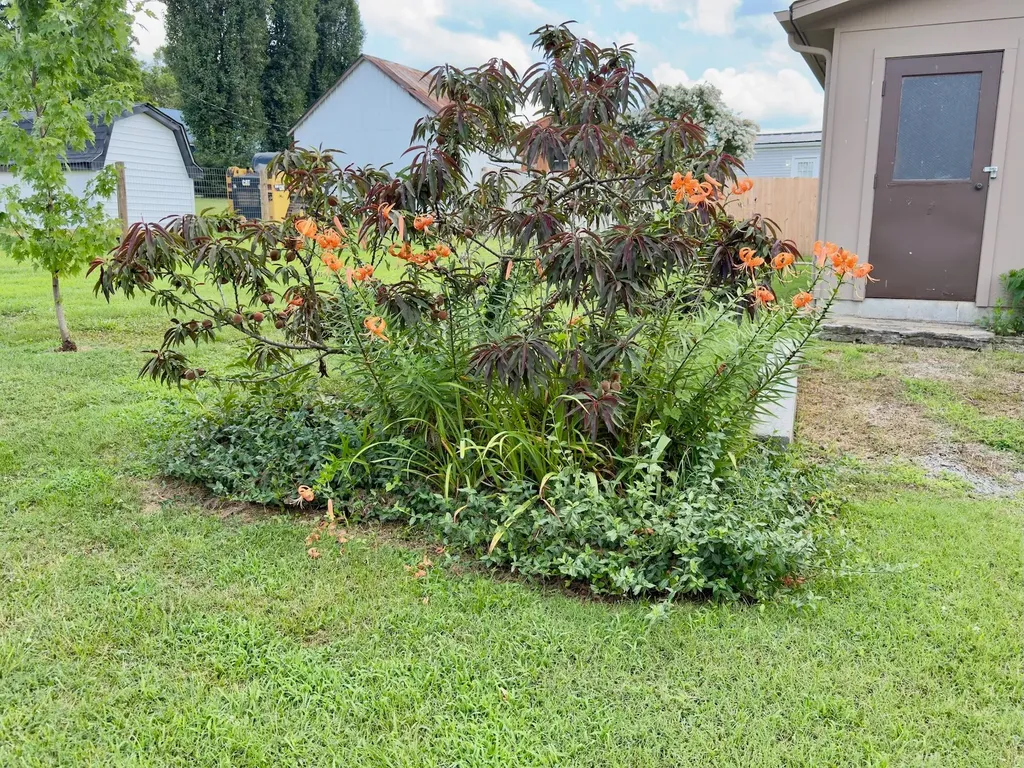 925 Old Mcminnville Road Woodbury TN 37190