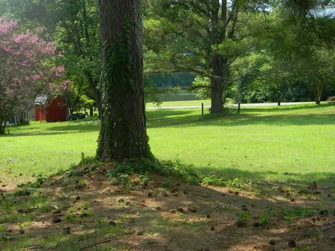 102 Mckinney Street Estill Springs TN 37330