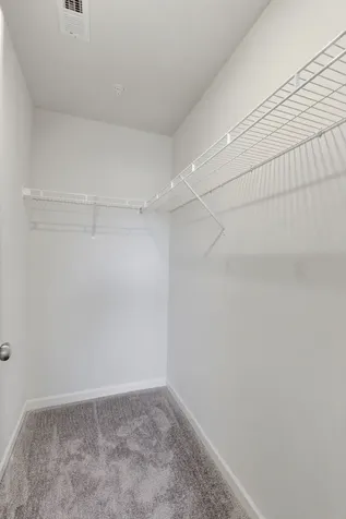 564 Trinity Way Spring Hill TN 37174