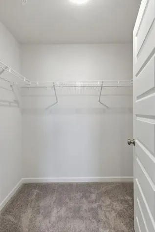 564 Trinity Way Spring Hill TN 37174