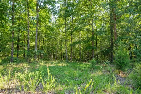 0 Pinewood Road Nunnelly TN 37137