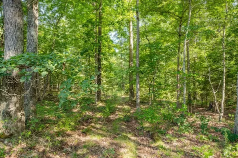 0 Pinewood Road Nunnelly TN 37137