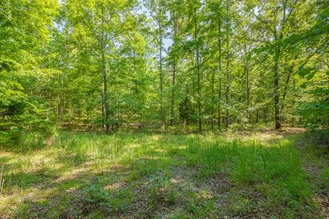 0 Pinewood Road Nunnelly TN 37137