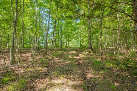 0 Pinewood Road Nunnelly TN 37137