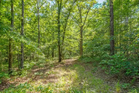 0 Pinewood Road Nunnelly TN 37137