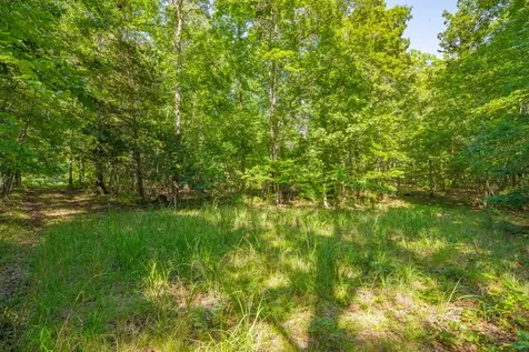 0 Pinewood Road Nunnelly TN 37137