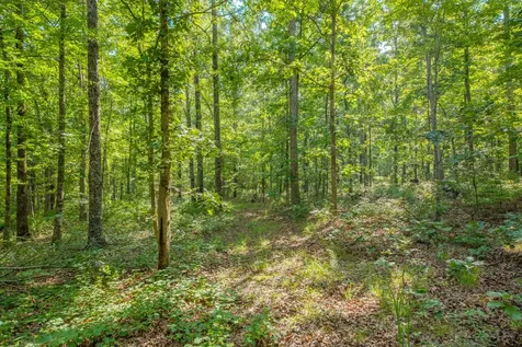 0 Pinewood Road Nunnelly TN 37137