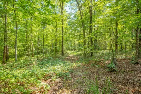 0 Pinewood Road Nunnelly TN 37137