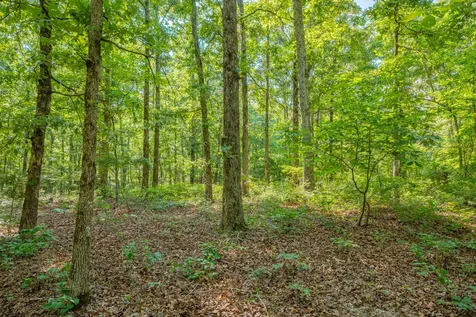 0 Pinewood Road Nunnelly TN 37137