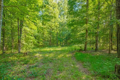 0 Pinewood Road Nunnelly TN 37137