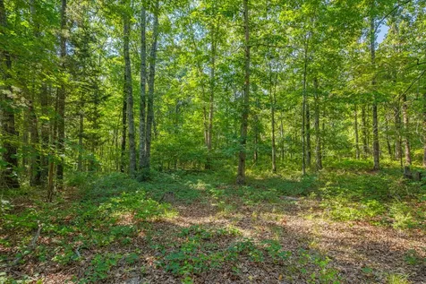 0 Pinewood Road Nunnelly TN 37137