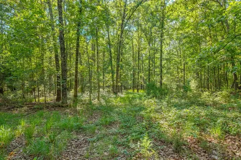 0 Pinewood Road Nunnelly TN 37137