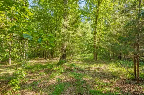 0 Pinewood Road Nunnelly TN 37137
