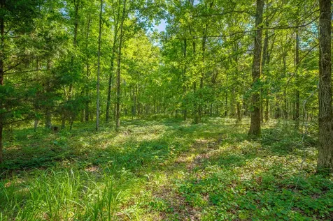 0 Pinewood Road Nunnelly TN 37137
