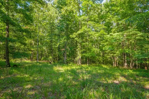 0 Pinewood Road Nunnelly TN 37137