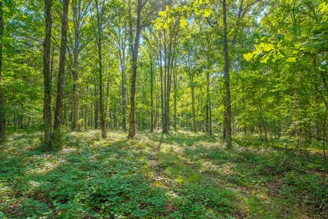 0 Pinewood Road Nunnelly TN 37137
