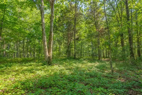 0 Pinewood Road Nunnelly TN 37137