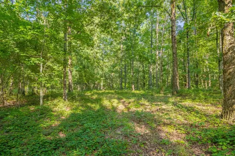 0 Pinewood Road Nunnelly TN 37137