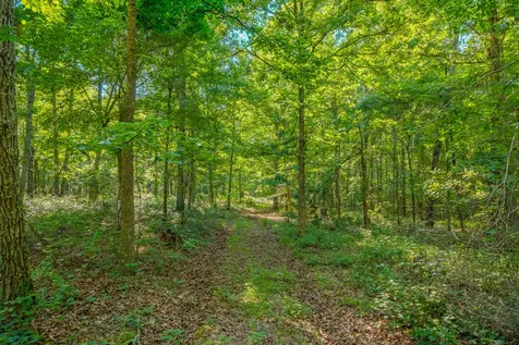 0 Pinewood Road Nunnelly TN 37137