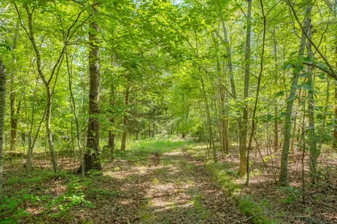 0 Pinewood Road Nunnelly TN 37137