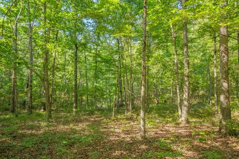 0 Pinewood Road Nunnelly TN 37137