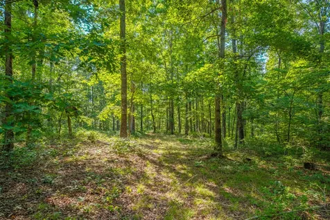 0 Pinewood Road Nunnelly TN 37137