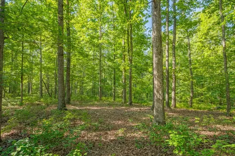 0 Pinewood Road Nunnelly TN 37137